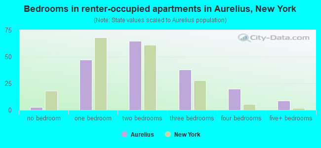 Bedrooms in renter-occupied apartments in Aurelius, New York