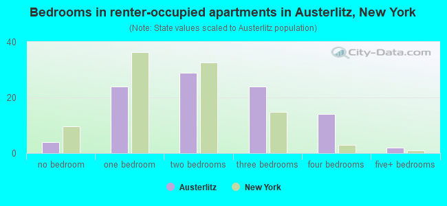 Bedrooms in renter-occupied apartments in Austerlitz, New York