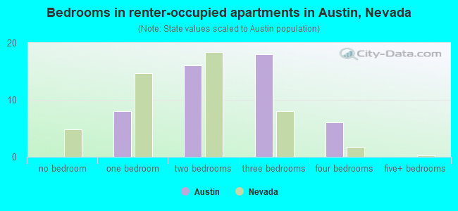 Bedrooms in renter-occupied apartments in Austin, Nevada