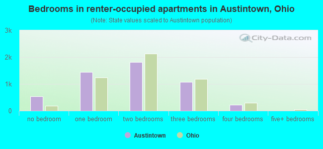 Bedrooms in renter-occupied apartments in Austintown, Ohio