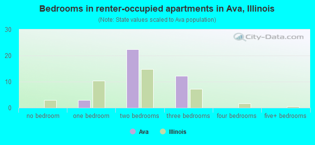 Bedrooms in renter-occupied apartments in Ava, Illinois