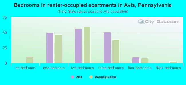 Bedrooms in renter-occupied apartments in Avis, Pennsylvania