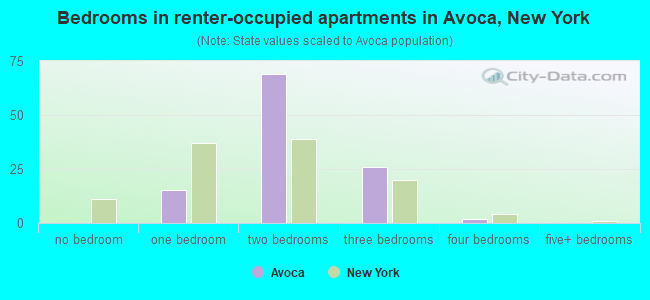 Bedrooms in renter-occupied apartments in Avoca, New York