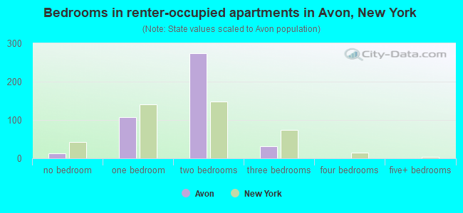 Bedrooms in renter-occupied apartments in Avon, New York