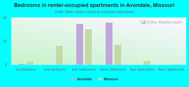 Bedrooms in renter-occupied apartments in Avondale, Missouri