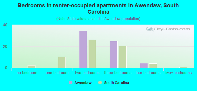 Bedrooms in renter-occupied apartments in Awendaw, South Carolina