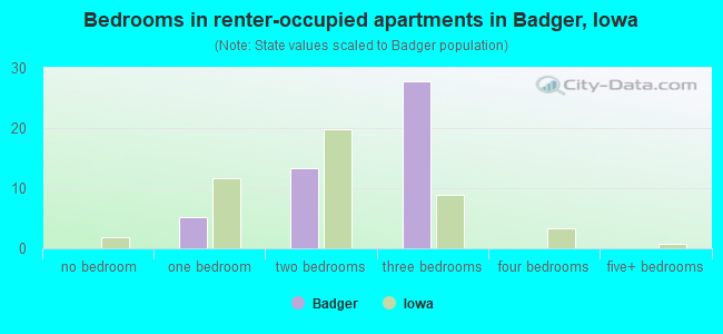 Bedrooms in renter-occupied apartments in Badger, Iowa