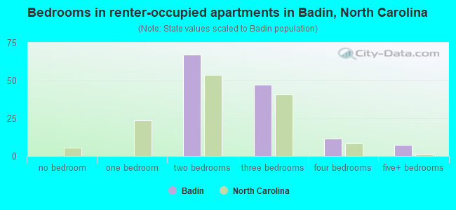 Bedrooms in renter-occupied apartments in Badin, North Carolina