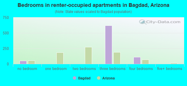 Bedrooms in renter-occupied apartments in Bagdad, Arizona