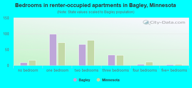 Bedrooms in renter-occupied apartments in Bagley, Minnesota