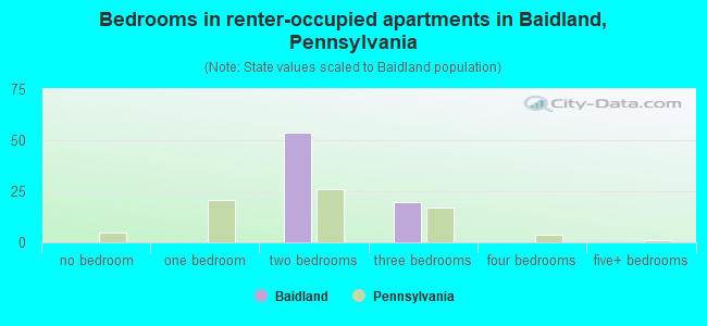 Bedrooms in renter-occupied apartments in Baidland, Pennsylvania