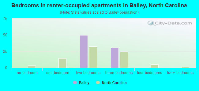 Bedrooms in renter-occupied apartments in Bailey, North Carolina