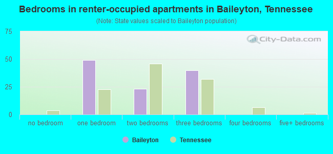Bedrooms in renter-occupied apartments in Baileyton, Tennessee