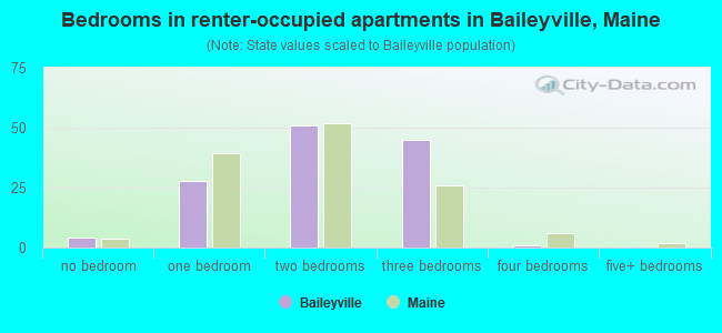 Bedrooms in renter-occupied apartments in Baileyville, Maine