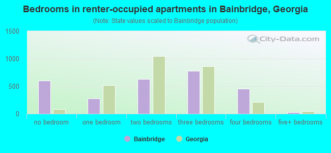 Bedrooms in renter-occupied apartments in Bainbridge, Georgia