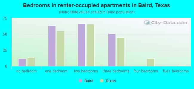 Bedrooms in renter-occupied apartments in Baird, Texas