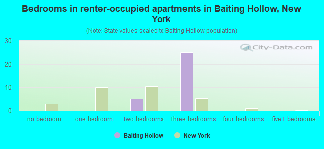 Bedrooms in renter-occupied apartments in Baiting Hollow, New York