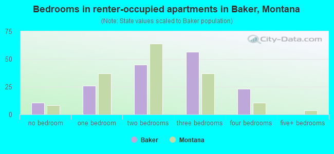 Bedrooms in renter-occupied apartments in Baker, Montana