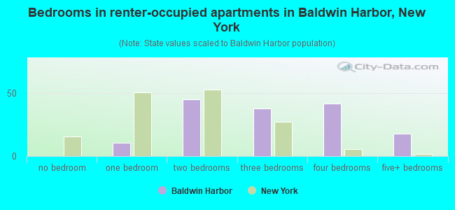 Bedrooms in renter-occupied apartments in Baldwin Harbor, New York