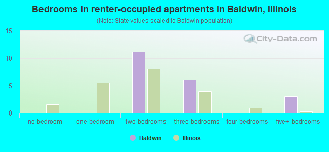 Bedrooms in renter-occupied apartments in Baldwin, Illinois