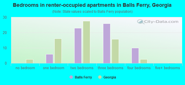 Bedrooms in renter-occupied apartments in Balls Ferry, Georgia