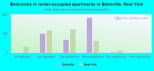 Bedrooms in renter-occupied apartments in Balmville, New York