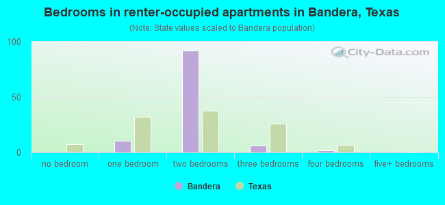 Bedrooms in renter-occupied apartments in Bandera, Texas