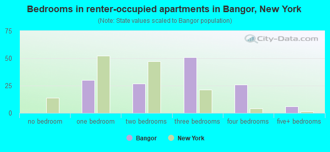 Bedrooms in renter-occupied apartments in Bangor, New York