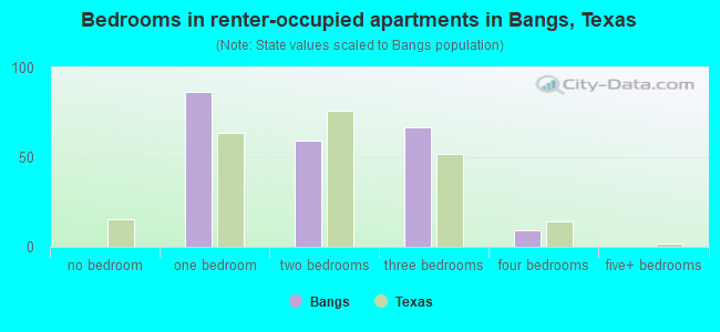 Bedrooms in renter-occupied apartments in Bangs, Texas