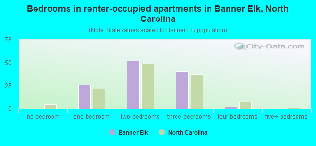 Bedrooms in renter-occupied apartments in Banner Elk, North Carolina