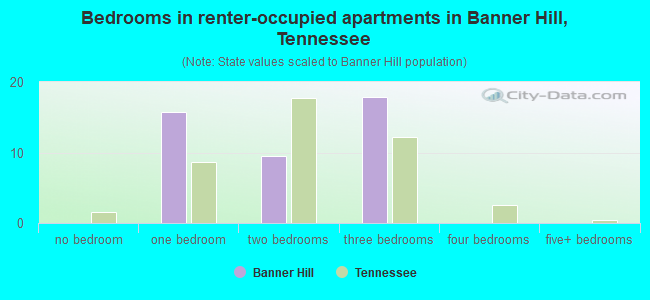Bedrooms in renter-occupied apartments in Banner Hill, Tennessee