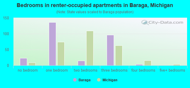 Bedrooms in renter-occupied apartments in Baraga, Michigan
