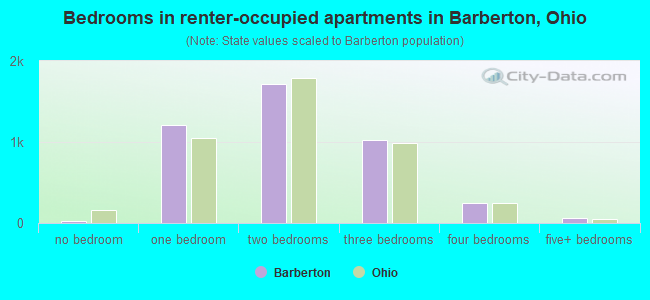 Bedrooms in renter-occupied apartments in Barberton, Ohio