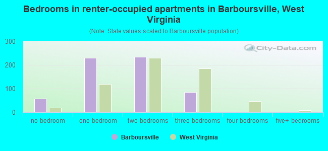 Bedrooms in renter-occupied apartments in Barboursville, West Virginia