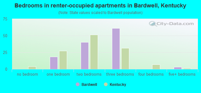 Bedrooms in renter-occupied apartments in Bardwell, Kentucky