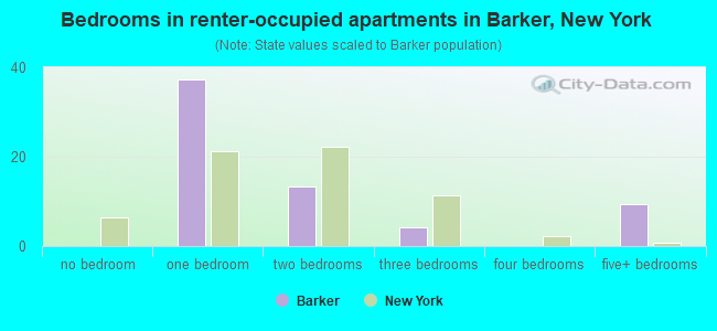 Bedrooms in renter-occupied apartments in Barker, New York