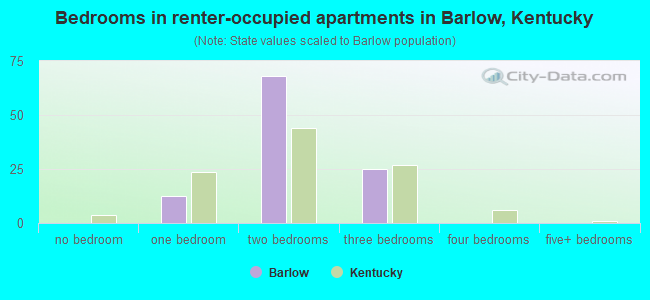 Bedrooms in renter-occupied apartments in Barlow, Kentucky