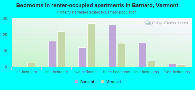 Bedrooms in renter-occupied apartments in Barnard, Vermont