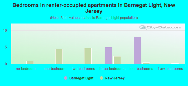 Bedrooms in renter-occupied apartments in Barnegat Light, New Jersey