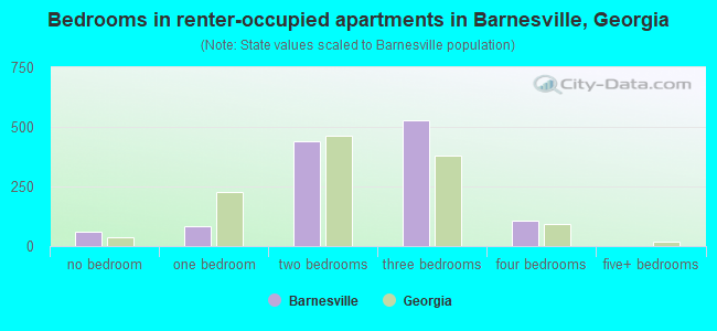 Bedrooms in renter-occupied apartments in Barnesville, Georgia