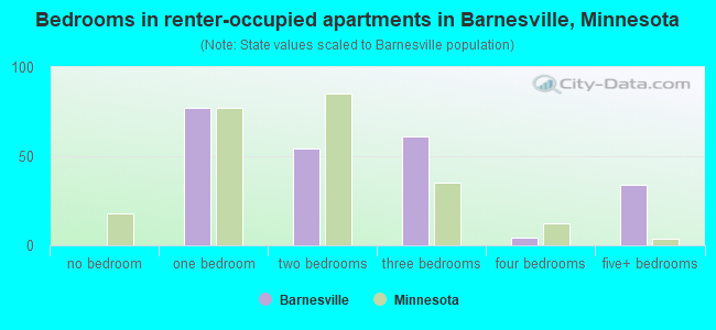 Bedrooms in renter-occupied apartments in Barnesville, Minnesota