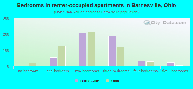 Bedrooms in renter-occupied apartments in Barnesville, Ohio