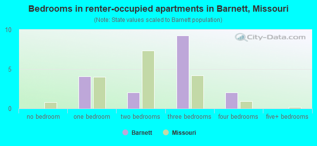 Bedrooms in renter-occupied apartments in Barnett, Missouri