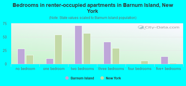 Bedrooms in renter-occupied apartments in Barnum Island, New York