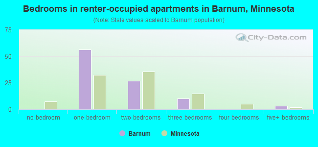 Bedrooms in renter-occupied apartments in Barnum, Minnesota