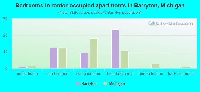 Bedrooms in renter-occupied apartments in Barryton, Michigan