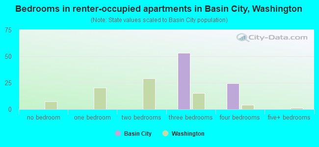 Bedrooms in renter-occupied apartments in Basin City, Washington