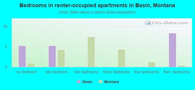 Bedrooms in renter-occupied apartments in Basin, Montana