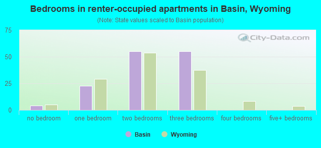 Bedrooms in renter-occupied apartments in Basin, Wyoming
