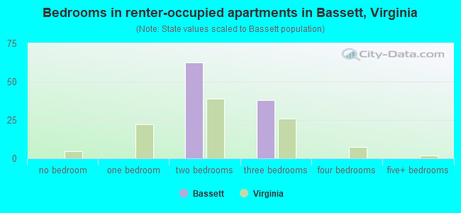 Bedrooms in renter-occupied apartments in Bassett, Virginia